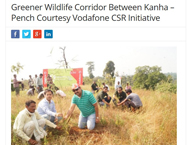 Greener Wildlife Corridor Between Kanha - Pench Courtesy Vodafone CSR Initiative